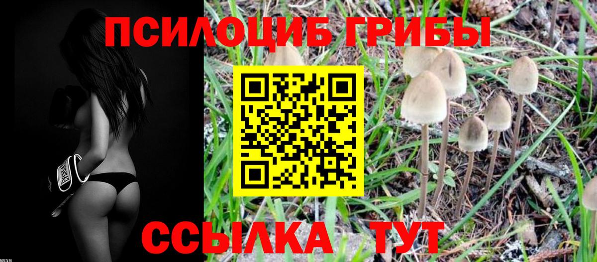 наркошоп  Галлюциногенные грибы Magic Shrooms  Вход с VPN  Чехов 
