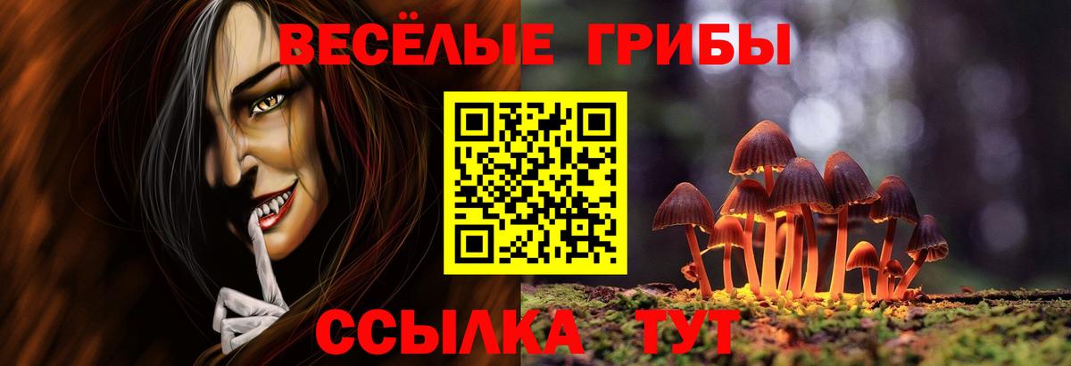 Галлюциногенные грибы Psilocybe Чехов